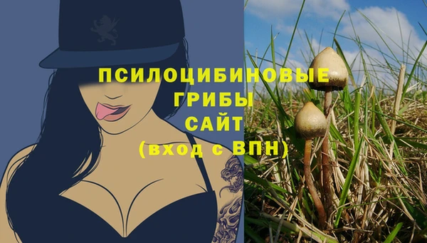 гашиш Белокуриха