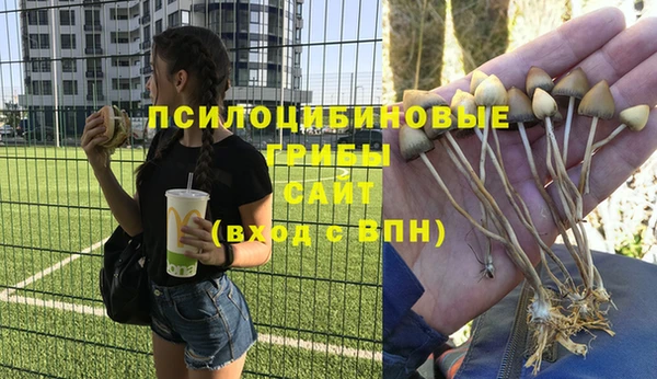стаф Белоозёрский