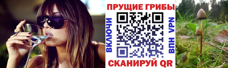 Галлюциногенные грибы мухоморы  Болгар 